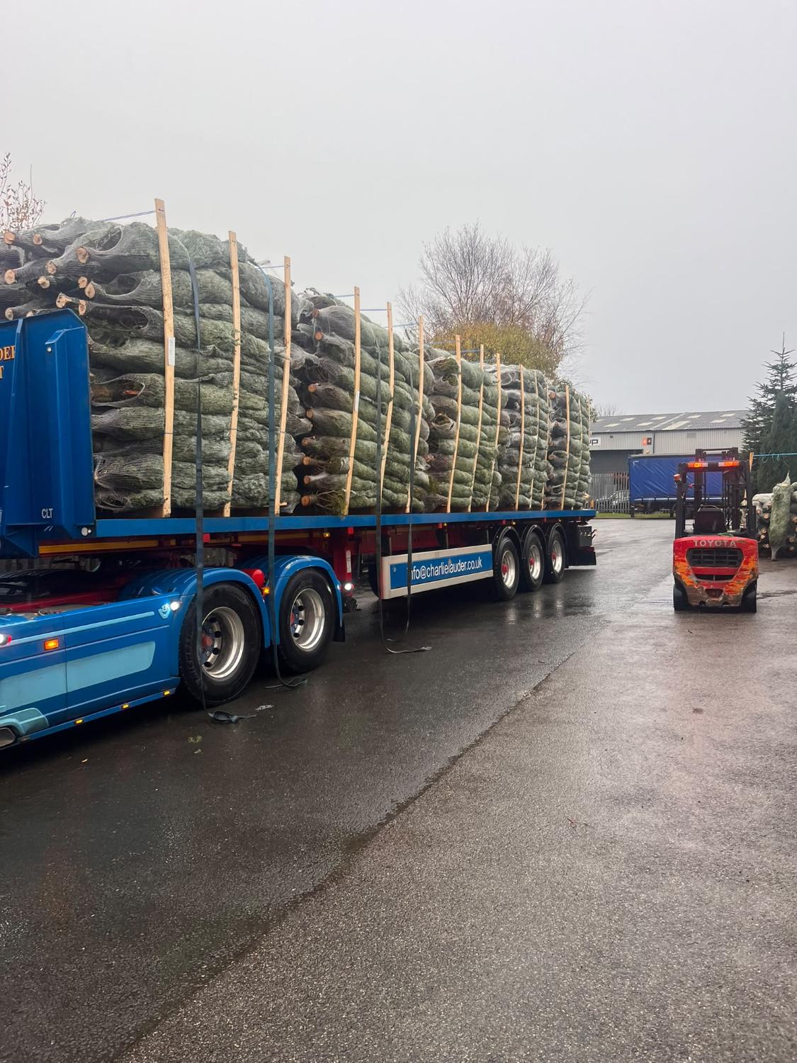 Netted trees arriving for delivery
