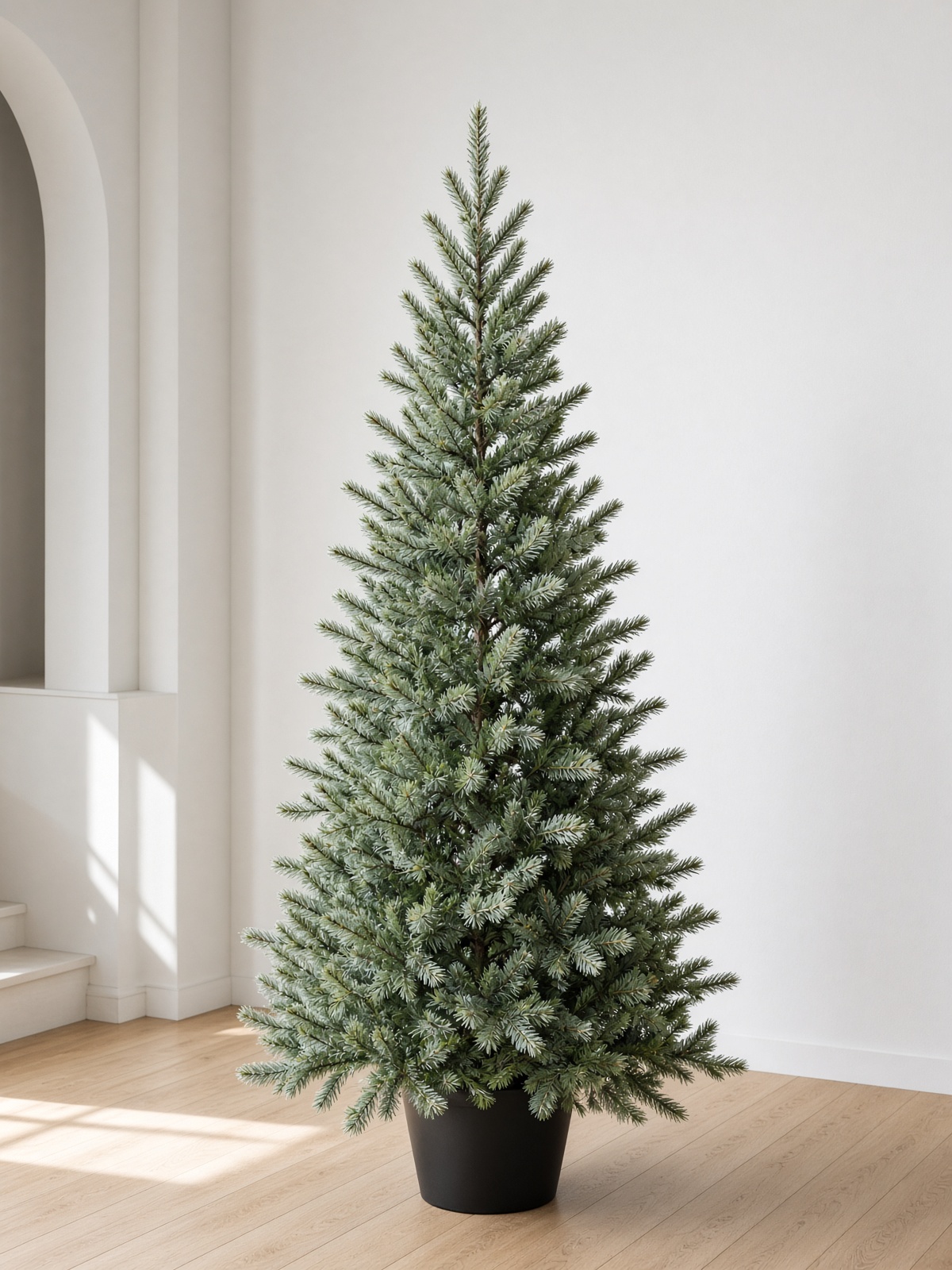 Fraser Fir Christmas tree