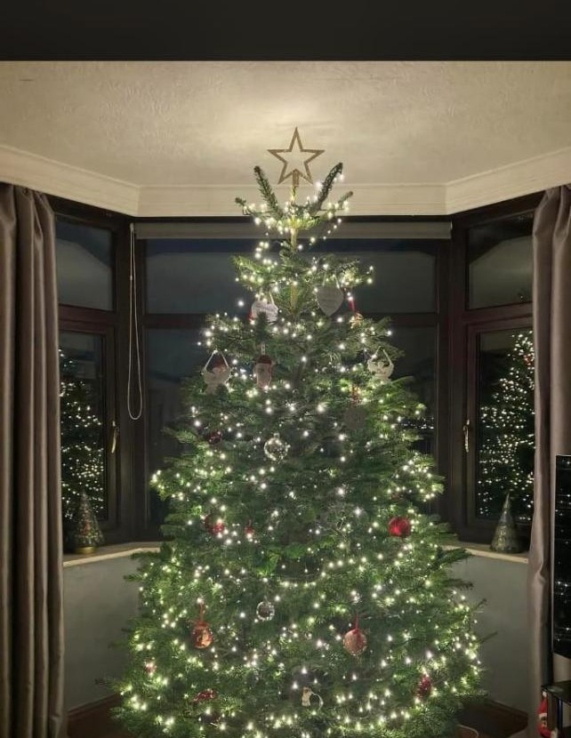 A Prescotts tree dressed in a home